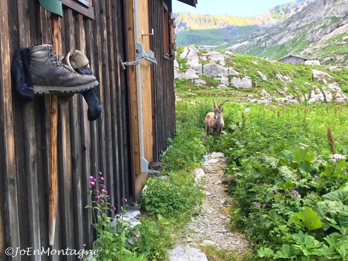 Village Vacances Le Salvagny Sixt-Fer-a-Cheval Bagian luar foto